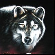 azoxyxywi's Avatar