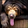 ukykoj's Avatar