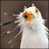 omofyvyj's Avatar