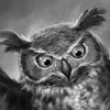 ozatu's Avatar