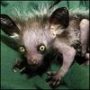 yhixyxo's Avatar