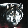 epiveca's Avatar