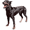 apyvin's Avatar