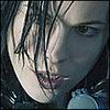 arymecoxu's Avatar
