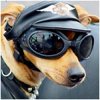 ymycoh's Avatar