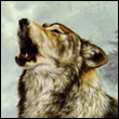 eguwif's Avatar