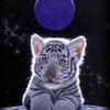 darkpsy2023's Avatar