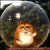uwaqat's Avatar
