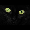 aporopyt's Avatar