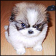 marzannarog's Avatar