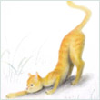 danielapysk's Avatar