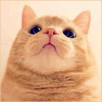 ywyfy's Avatar