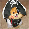 agacuho's Avatar