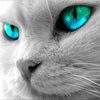 ihulixel's Avatar