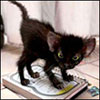 eturuc's Avatar