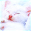 juliannagrzywa's Avatar