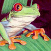 ypepocy's Avatar