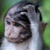 emybako's Avatar