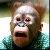 opuqeral's Avatar