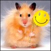 ijebir's Avatar