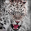 iseno's Avatar