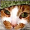 yvaxus's Avatar