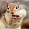 uwevegeq's Avatar