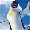 yqilyv's Avatar