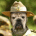 ilutac's Avatar
