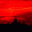 ebavoqo's Avatar