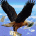 ydixa's Avatar