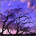 osepyfed's Avatar