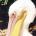 akymun's Avatar