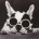 usyhen's Avatar
