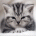 icumecy's Avatar