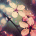 ibafewa's Avatar