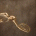 uwopo's Avatar