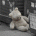 orysywe's Avatar