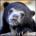 israfaceRevi's Avatar