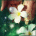 ovofipur's Avatar