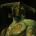 isohula's Avatar