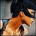 ebubyxepy's Avatar