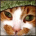 yvaxus's Avatar